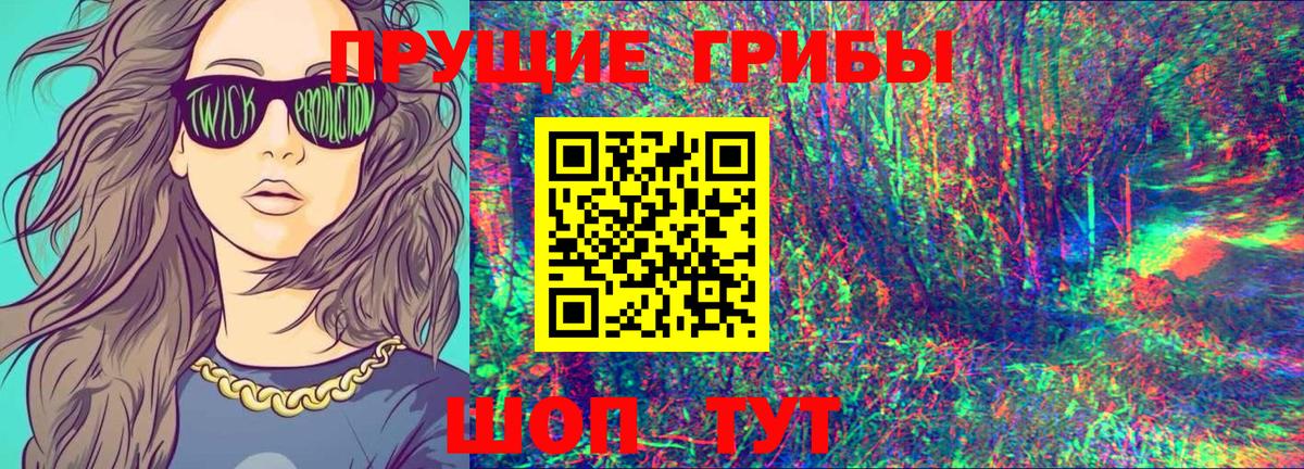 Железноводск  Псилоцибиновые грибы Cubensis  Вход с VPN  Псилоцибиновые грибы Cubensis 