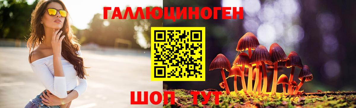 Псилоцибиновые грибы мицелий Железноводск